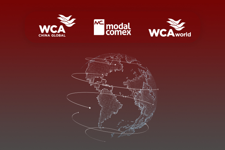 Somos WCA World