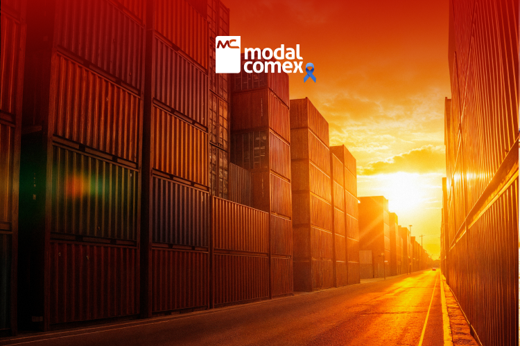 Seguro Internacional: proteção que reduz riscos e garante tranquilidade em cada embarque